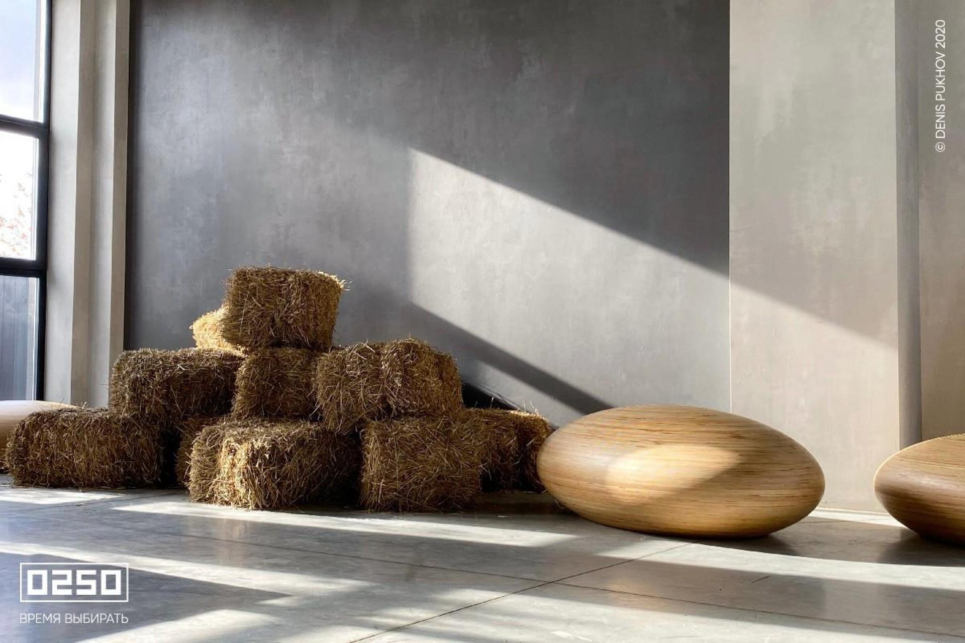 Камень времени натуральное дерево в фотостудии